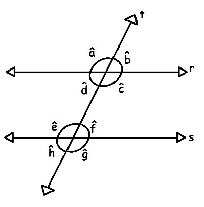 The intersection of the line t with the parallel lines r and s gave rise to angles a, b, c, d, e, f, g, h