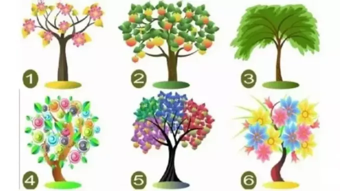 Personality test; Choose a tree and learn more about yourself