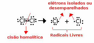Serbest radikaller oluşturmak için klor homolitik fisyon.