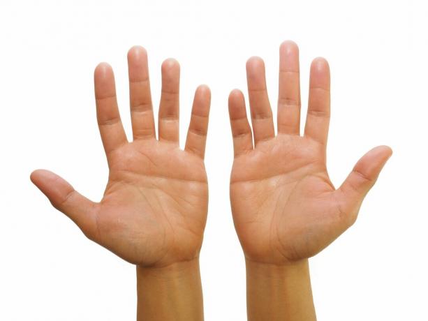 Ta reda på vad linjerna på dina händer kan avslöja om dig