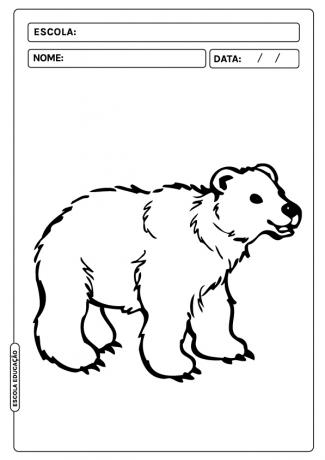 Animals to color