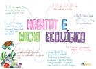 Habitat and ecological niche