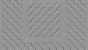 Test optične iluzije: Ali se okvirji premikajo ali ne?