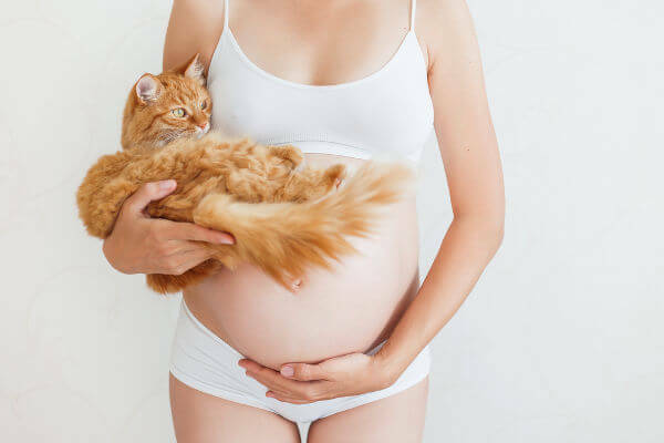 During pregnancy, it is recommended that the woman does not clean the litter box with cat feces.