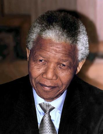 Nelson Mandela im Jahr 1994.[5]