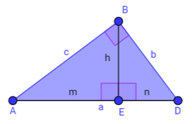 삼각법이란 무엇입니까?