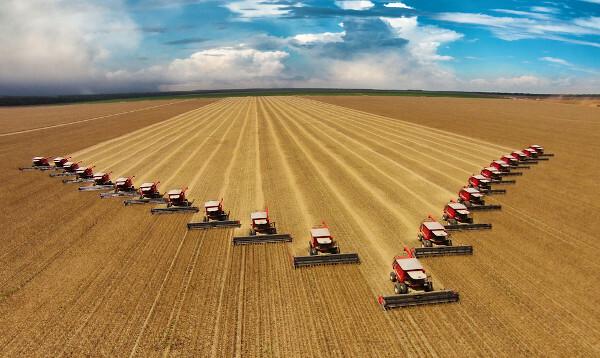  Several harvesters in a soybean plantation in Brazil.