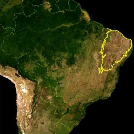 Kaart van Caatinga