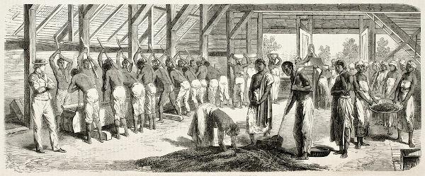 La proposition de Dantas visait à mettre fin à l'esclavage au Brésil dans les 16 ans.