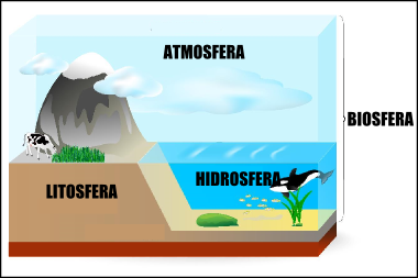 Esquema de la estructura de la Tierra y composición de la biosfera.