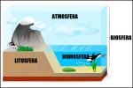 Biosfera. Caratteristiche della biosfera terrestre