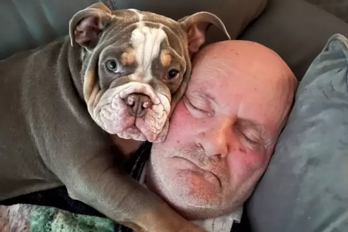Hunden tuggar på ägarens tå medan han sover