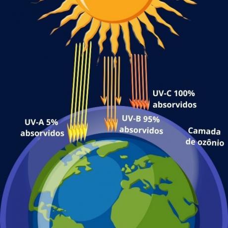 Ozonlag: hva er det til og hva som skader det?