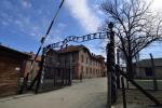 Нацистские концентрационные лагеря