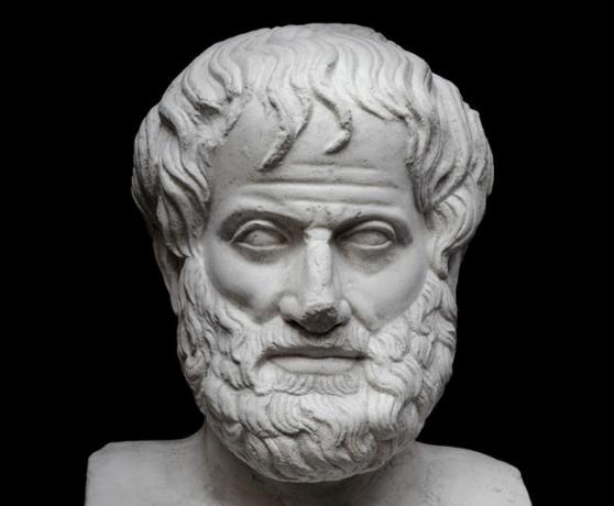Aristoteles av Stagira var en av de mest inflytelserika filosoferna i historien.