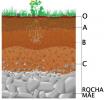 Земля. Профиль и характеристики почвы