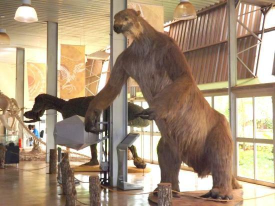 ブラジルの巨大動物相：巨大なナマケモノ