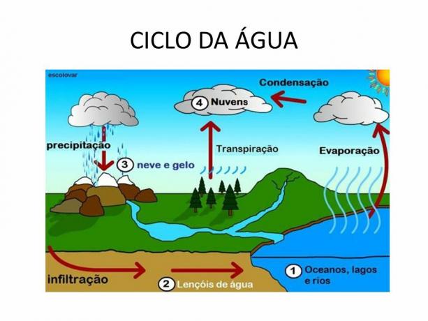 Water in de natuur-cyclus
