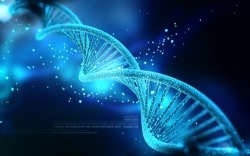 Significato del DNA (Cos'è, Concetto e Definizione)