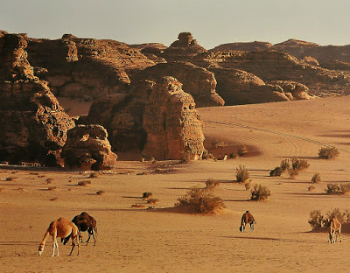 Arabische Woestijn