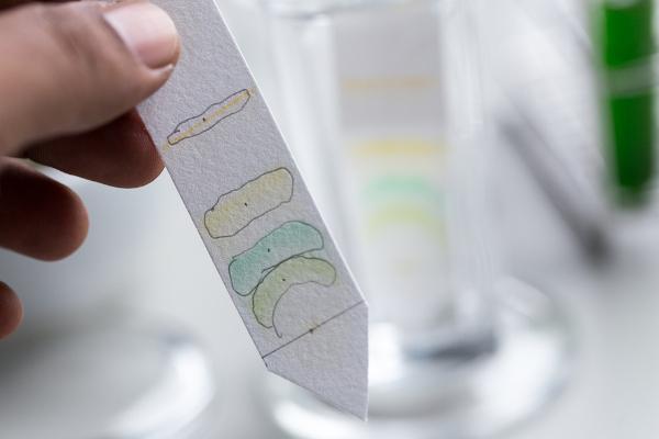Result of a thin layer chromatography. 
