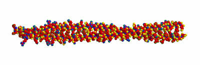 Regardez la structure de la kératine, une protéine structurelle