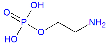 Formule développée de la phosphoéthanolamine