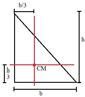 Stačiojo trikampio masės centrą vaizduojanti schema
